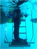 Helen C ladder.jpg