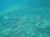 IMG_0777.jpg
