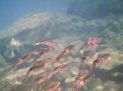 IMG_0777.Vivid.jpg