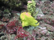 IMG_0252.jpg