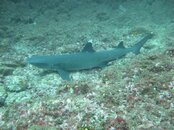 IMG_0498.jpg