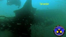 tail-section.jpg