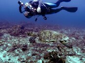 044-Bob & Turtle.jpg