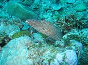 IMG_1666.jpg
