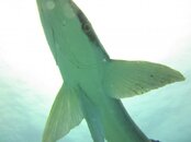 IMG_0596.jpg IMG_0596.jpg