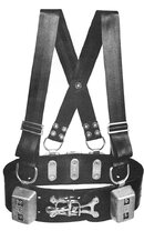 miller_commercial_weight_belt.jpeg