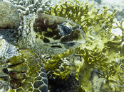 CRW_1197.jpg