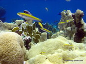 GEDC0788.JPG