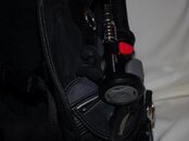 DSC_5391.jpg