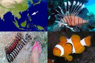 DDDB 532 philippines sm.jpg