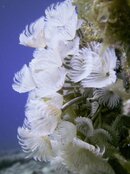 PICT0743.jpg