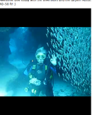 Silversides.png