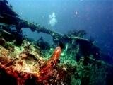 MK 6d dive tour diver & wreck 2.jpg