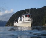 Dive Boat.jpg