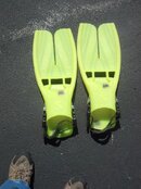 IMG_20130329_133941_308.jpg