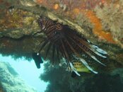 IMG_2483.jpg