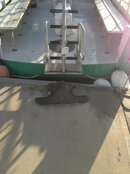 hammerhead head 3.jpg
