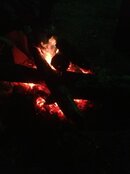 ImageUploadedByTapatalk1366427404.615813.jpg