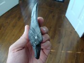 DSC01402.jpg