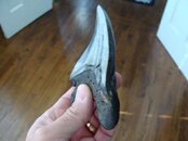 DSC01403.jpg