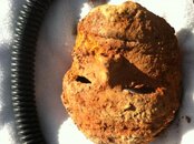 mask1.jpg