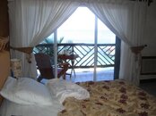IMG_0048.jpg