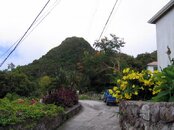 IMG_0768.jpg