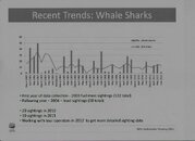 Whale Shark Sightings 2003 to 2011 001.Vivid.jpg