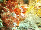 PICT0053.jpg
