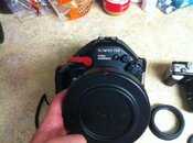 IMG_1318.jpg