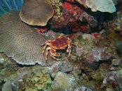 PICT0166.jpg