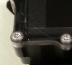 predator04.jpg