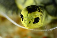 _DSC0673.jpg