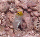 IMG_4134 copy.jpg