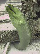IMG_4484.jpg