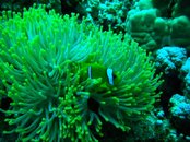 DSCN4060.jpg