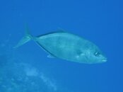 IMG_0019.jpg