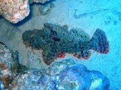 IMG_0114.jpg
