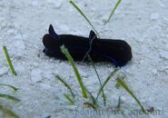 2013-04-08_040.jpg
