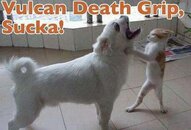 funny-vulcan-death-grip.jpg