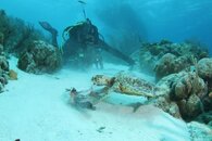 IMG_1913.jpg