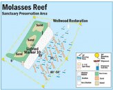 molasses buoys.jpg