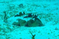 IMG_1282.jpg