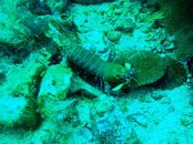 IMG_1309.jpg