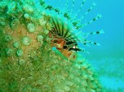 IMG_1322.jpg