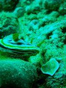IMG_1327.jpg