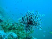 IMG_1344.jpg