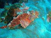 IMG_1358.jpg