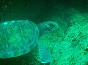 IMG_1432.jpg