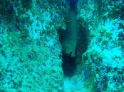 IMG_1433.jpg